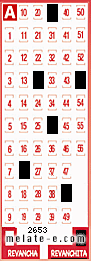 Volante ganador del sorteo de Revanchita con fecha del miércoles   8 de mayo de 2013