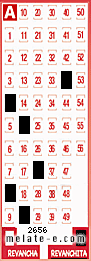 Volante ganador del sorteo de Revanchita con fecha del domingo  19 de mayo de 2013