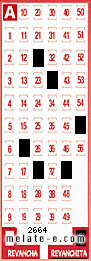 Volante ganador del sorteo de Revanchita con fecha del domingo  16 de junio de 2013