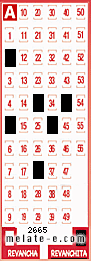 Volante ganador del sorteo de Revanchita con fecha del miércoles  19 de junio de 2013