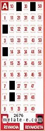 Volante ganador del sorteo de Revanchita con fecha del domingo  28 de julio de 2013