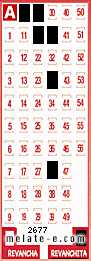 Volante ganador del sorteo de Revanchita con fecha del miércoles  31 de julio de 2013