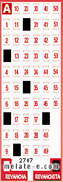 Volante ganador del sorteo de Revanchita con fecha del miércoles  13 de noviembre de 2013