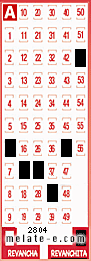 Volante ganador del sorteo 2804 de Revanchita