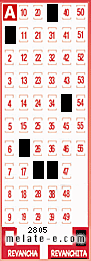 Volante ganador del sorteo 2805 de Revanchita