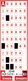 Volante ganador del sorteo 2806 de Revanchita
