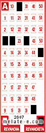 Volante ganador del sorteo 2807 de Revanchita