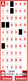 Volante ganador del sorteo 2808 de Revanchita