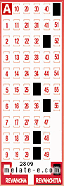 Volante ganador del sorteo 2809 de Revanchita