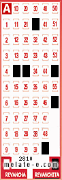 Volante ganador del sorteo 2810 de Revanchita