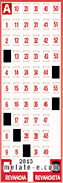 Volante ganador del sorteo 2813 de Revanchita