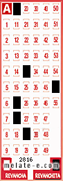 Volante ganador del sorteo 2816 de Revanchita