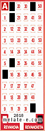 Volante ganador del sorteo 2818 de Revanchita