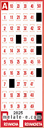 Volante ganador del sorteo 2825 de Revanchita