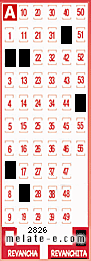 Volante ganador del sorteo 2826 de Revanchita