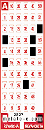 Volante ganador del sorteo 2827 de Revanchita