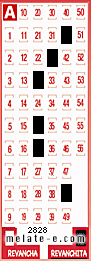 Volante ganador del sorteo 2828 de Revanchita
