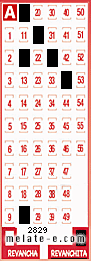 Volante ganador del sorteo 2829 de Revanchita