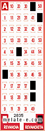 Volante ganador del sorteo 2835 de Revanchita