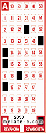 Volante ganador del sorteo 2838 de Revanchita