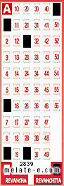 Volante ganador del sorteo 2839 de Revanchita