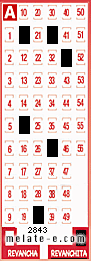Volante ganador del sorteo 2843 de Revanchita