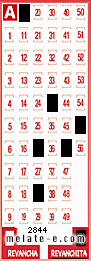 Volante ganador del sorteo 2844 de Revanchita