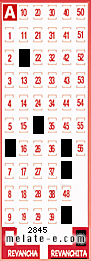 Volante ganador del sorteo 2845 de Revanchita