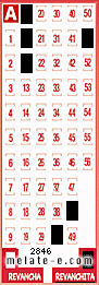 Volante ganador del sorteo 2846 de Revanchita