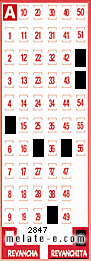 Volante ganador del sorteo 2847 de Revanchita