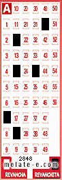 Volante ganador del sorteo 2848 de Revanchita