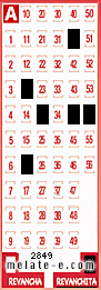 Volante ganador del sorteo 2849 de Revanchita