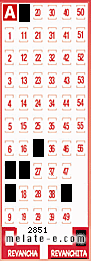 Volante ganador del sorteo 2851 de Revanchita