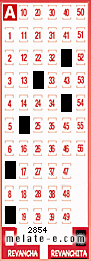 Volante ganador del sorteo 2854 de Revanchita