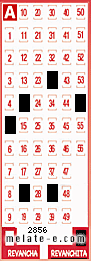 Volante ganador del sorteo 2856 de Revanchita