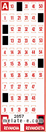 Volante ganador del sorteo 2857 de Revanchita