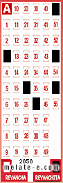 Volante ganador del sorteo 2858 de Revanchita