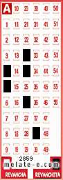Volante ganador del sorteo 2859 de Revanchita