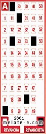 Volante ganador del sorteo 2861 de Revanchita