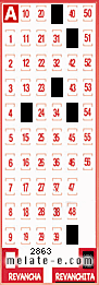 Volante ganador del sorteo 2863 de Revanchita