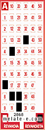 Volante ganador del sorteo 2868 de Revanchita