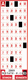 Volante ganador del sorteo 2869 de Revanchita
