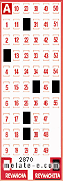 Volante ganador del sorteo 2870 de Revanchita