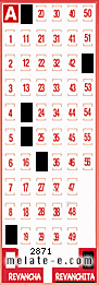 Volante ganador del sorteo 2871 de Revanchita