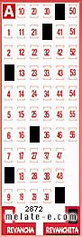 Volante ganador del sorteo 2872 de Revanchita
