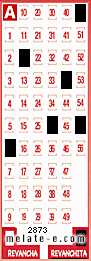 Volante ganador del sorteo 2873 de Revanchita