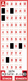 Volante ganador del sorteo 2874 de Revanchita