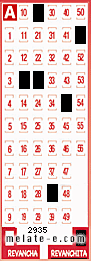 Volante ganador del sorteo 2935 de Revanchita