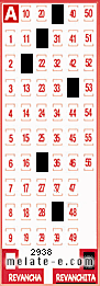 Volante ganador del sorteo 2938 de Revanchita