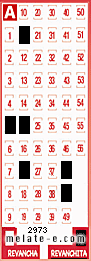 Volante ganador del sorteo 2973 de Revanchita